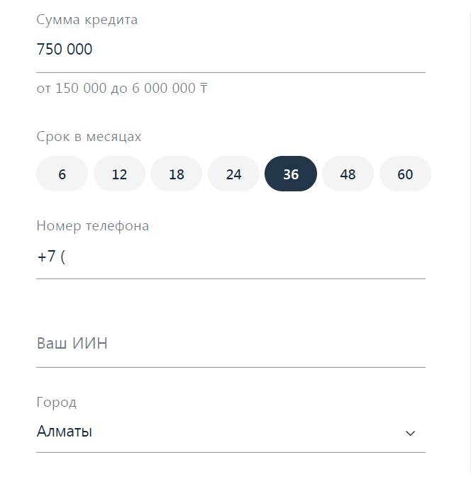 Стандартная форма заявки на займ